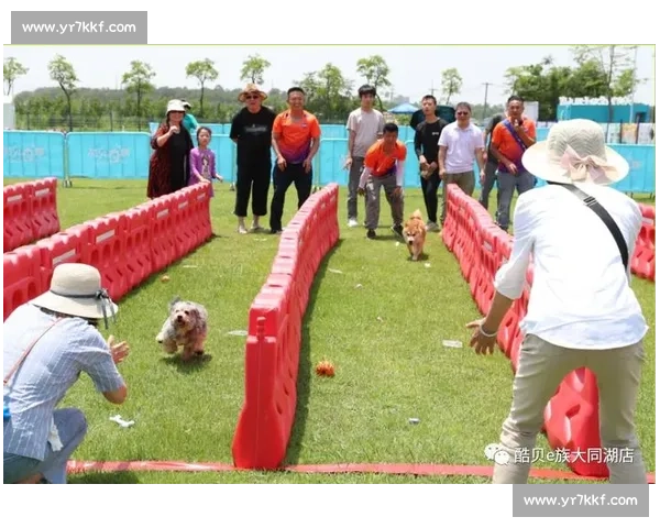 燃情狗狗竞技赛场精彩瞬间视频全记录与高能对决盘点年度热血速度力量