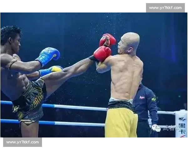 一龙强势出击KO美特警震撼武林风赛场引发热议